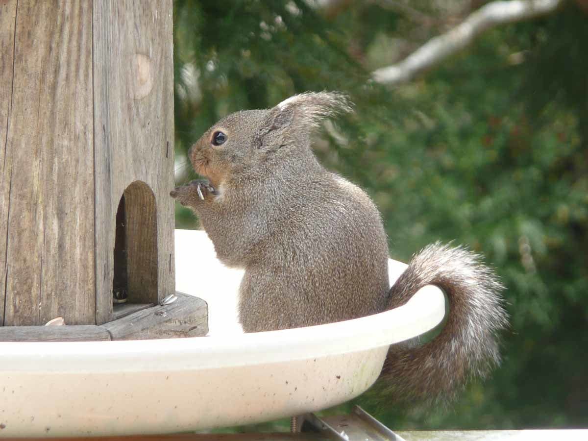 *เพื่อนๆ ตอนที่ 2