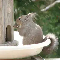 *เพื่อนๆ ตอนที่ 2