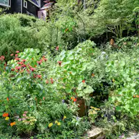 การจัดสวนที่ลานจอดรถ