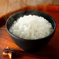 白ご飯