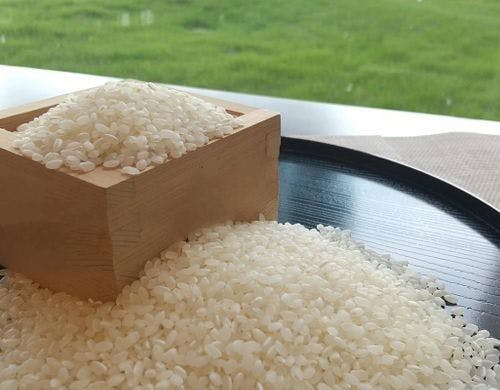 ご当地朝食メニュー千葉産　こしひかり