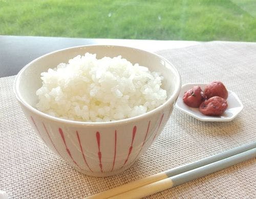 ご当地朝食メニュー千葉産　こしひかり