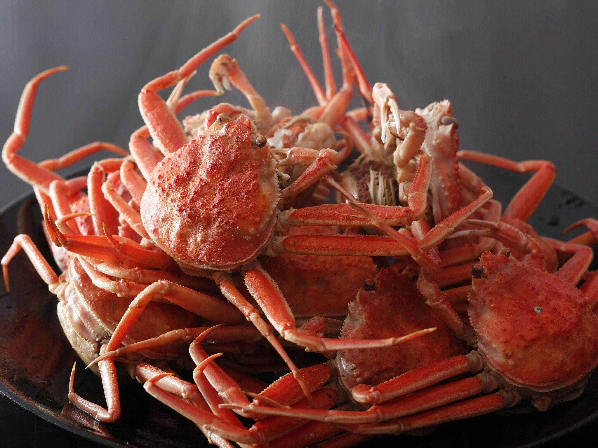 Amanohashidate Villa Annex Yosano Villa