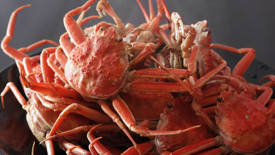 Amanohashidate Villa Annex Yosano Villa