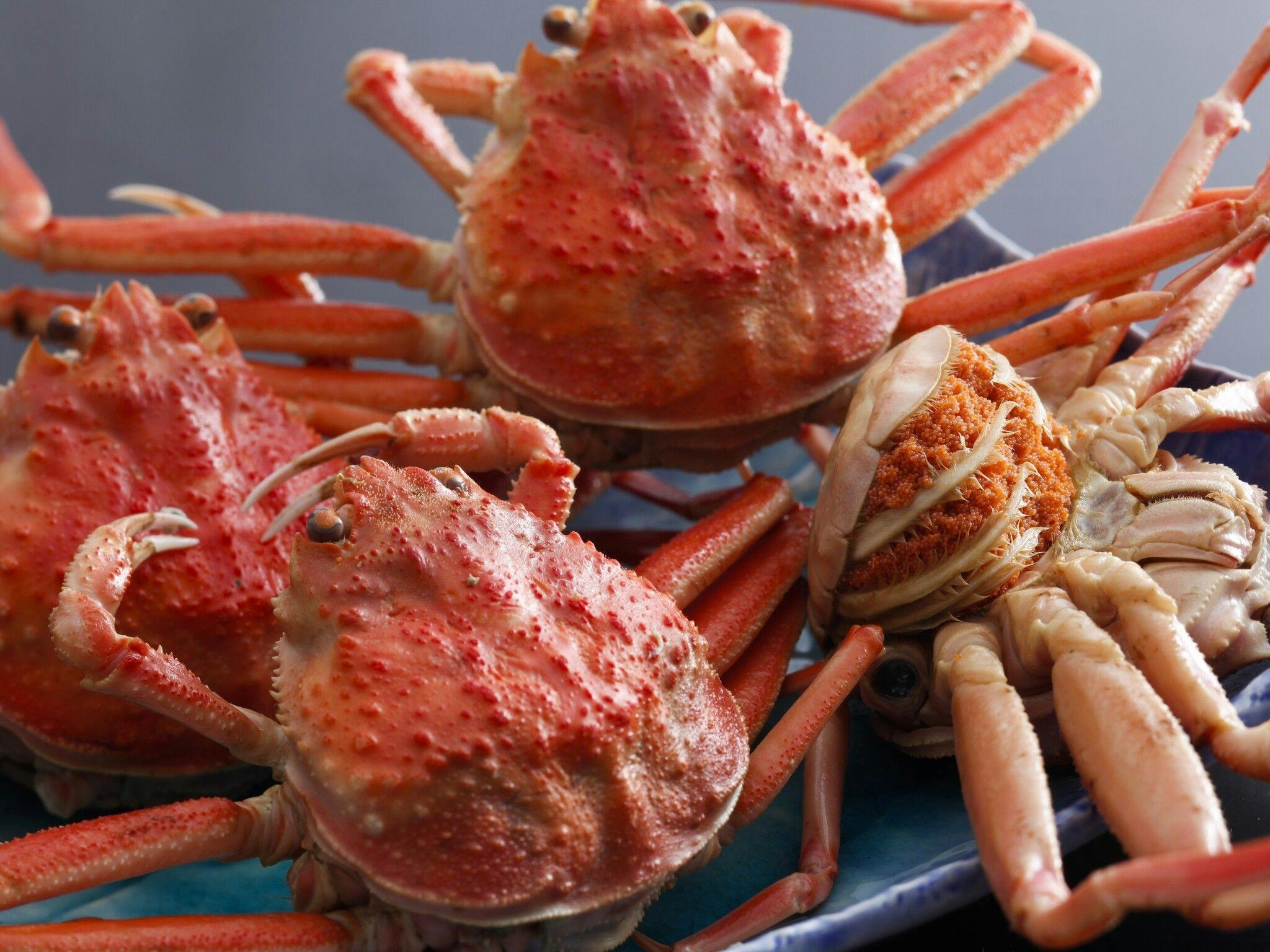 ปูเซโกกานิแบบจำกัดเวลา