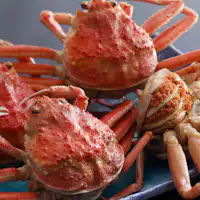 ปูเซโกกานิแบบจำกัดเวลา