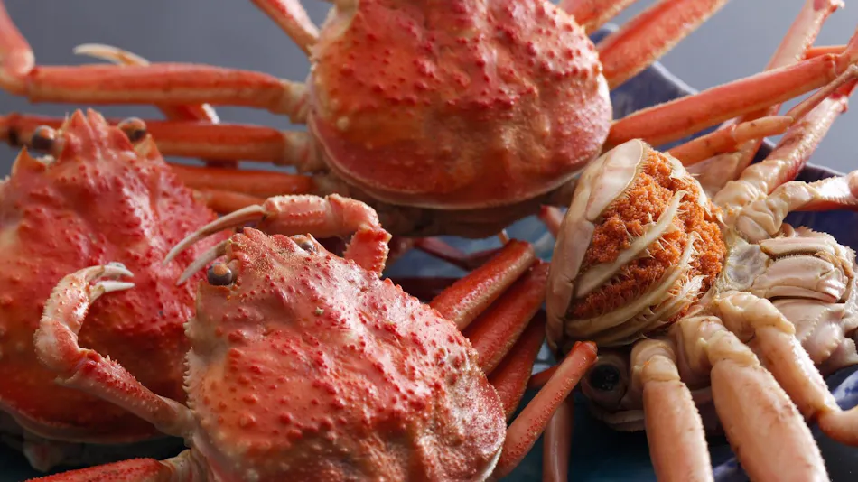 Amanohashidate Villa Annex Yosano Villa