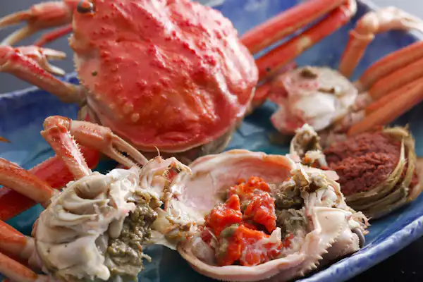 ปูเซโกกานิแบบจำกัดเวลา