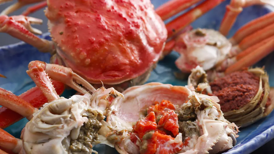 Amanohashidate Villa Annex Yosano Villa