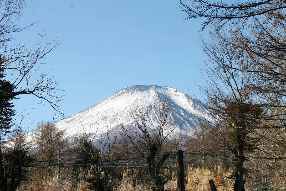 Panorama Inn Yamanakako
