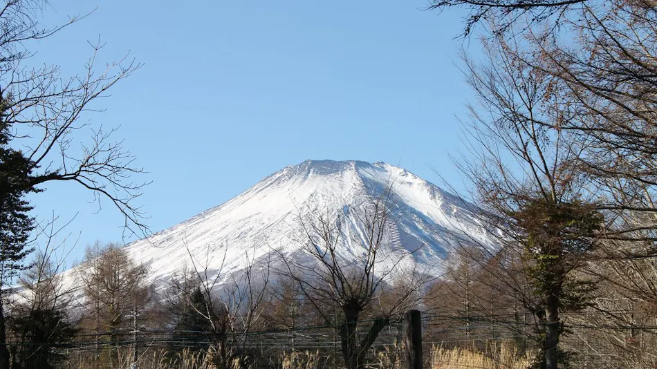 Panorama Inn Yamanakako