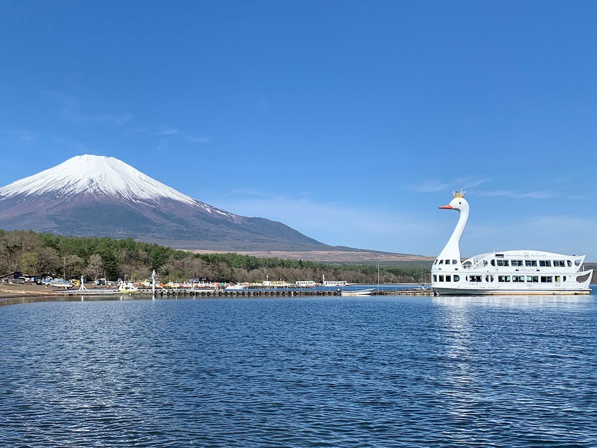 เรือท่องเที่ยวทะเลสาบยามานากะ "ทะเลสาบหงส์"