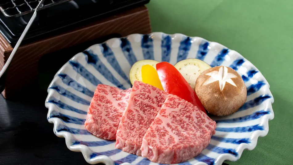 Panorama Inn Yamanakako