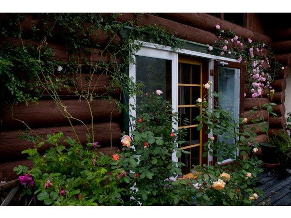 Log House Petit Hotel　Tombouctou