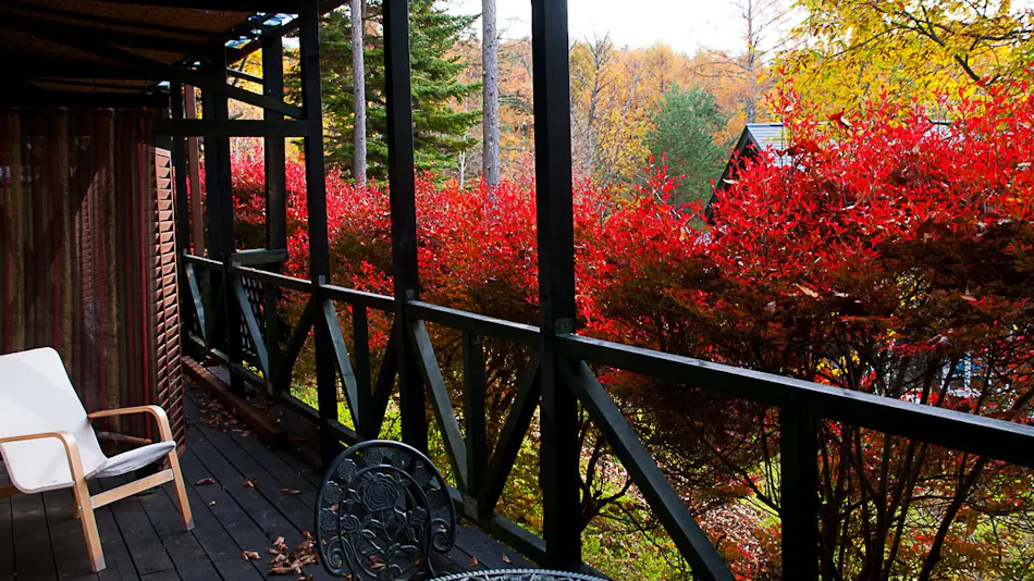Log House Petit Hotel Tombouctou