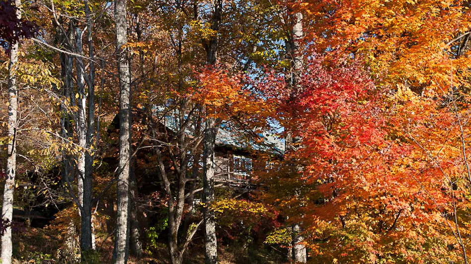 Log House Petit Hotel Tombouctou