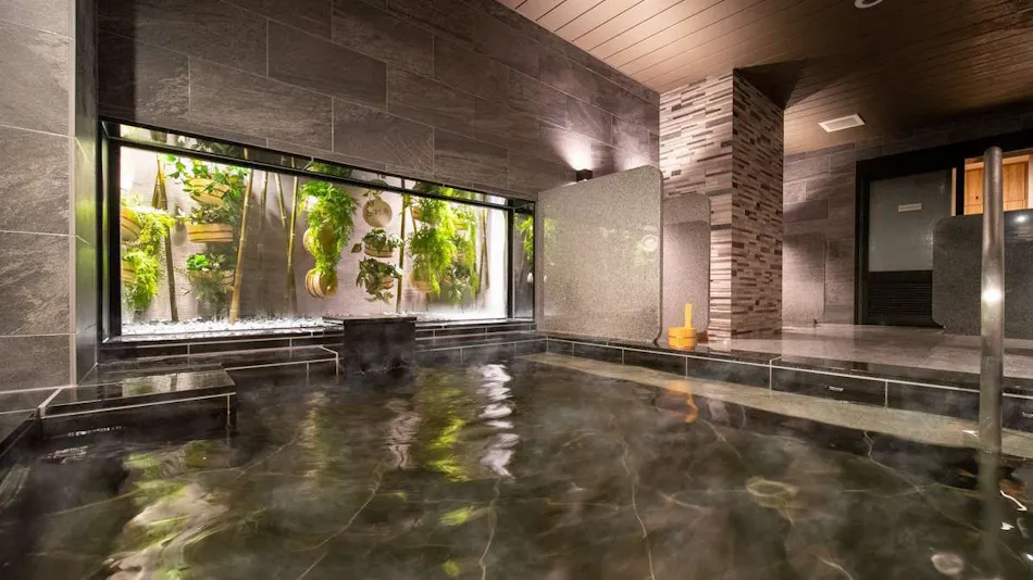 Natural Hot Spring Tetsuwanoyu Super Hotel Beppu Ekimae
