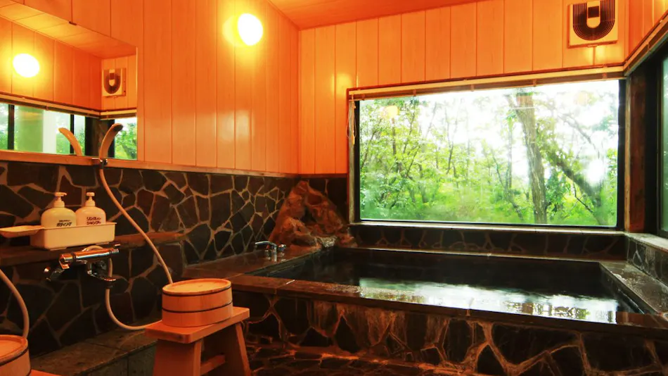 Guest House La Piste