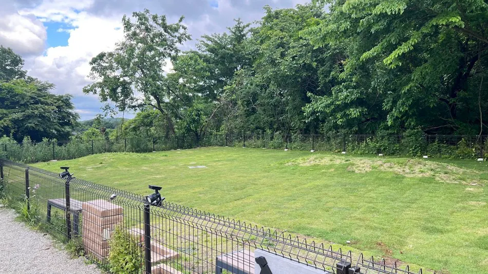 Nasu Hamiru's Forest