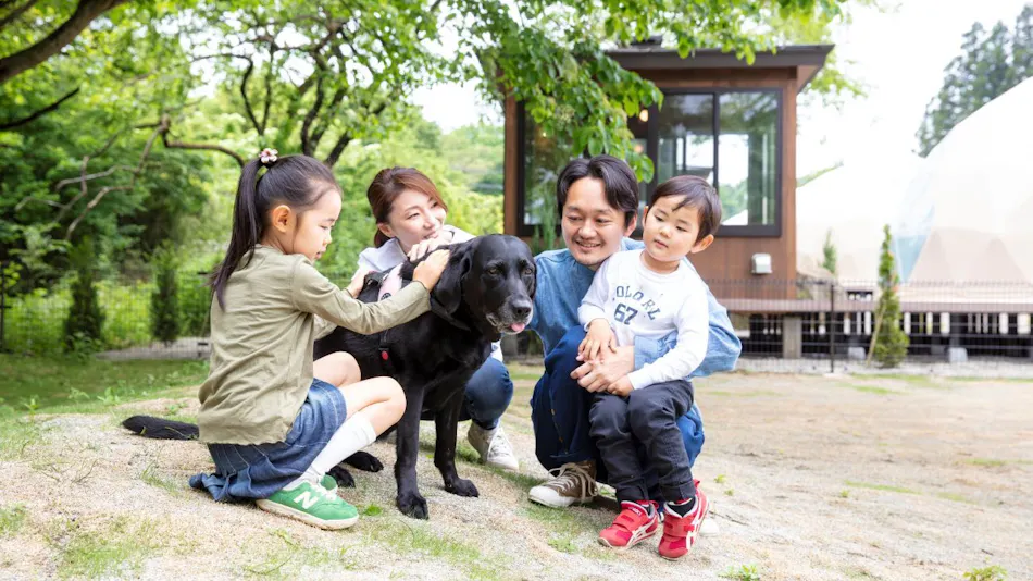 Nasu Hamiru's Forest