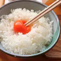 사이타마현 쿠마가야 마츠모토 팜의 아야타마고