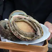 Persembahan istimewa untuk Ise Jingu.