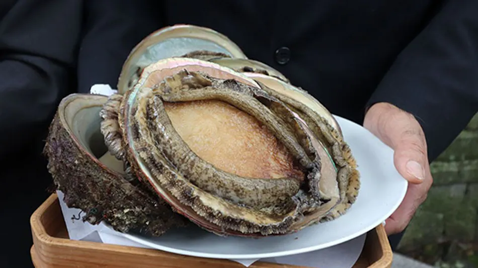 Fish Inn Marusen
