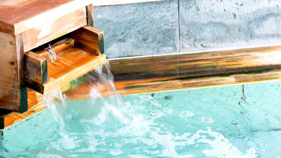 Atami Onsen Sakuraya Ryokan
