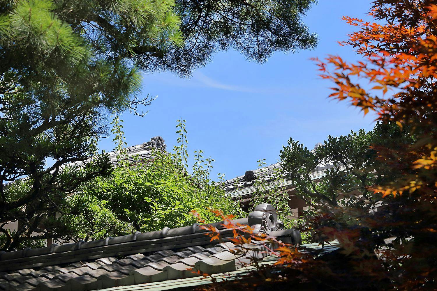 Atami Onsen Sakuraya Ryokan