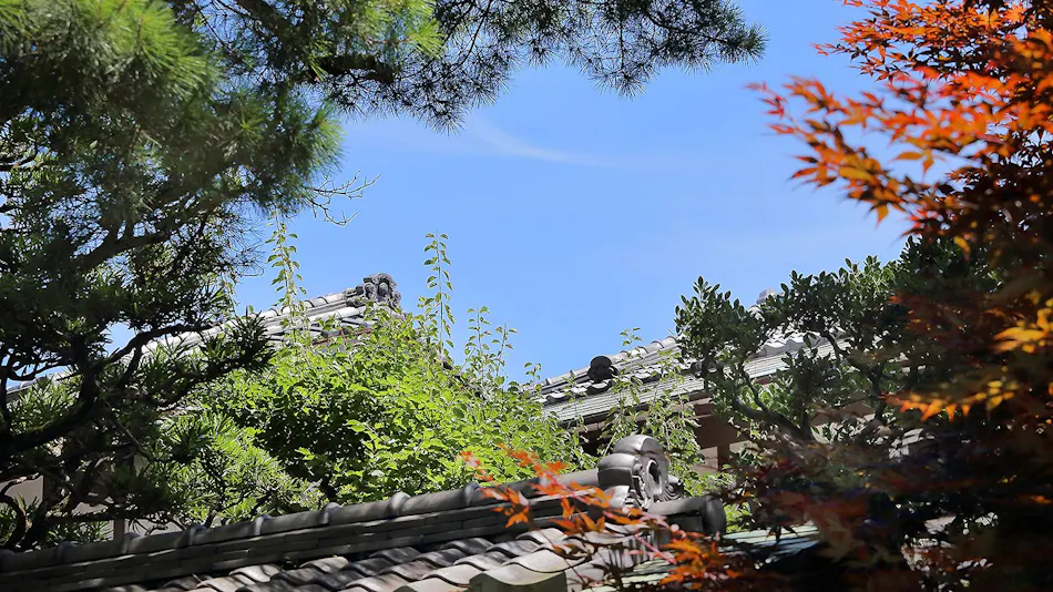 Atami Onsen Sakuraya Ryokan