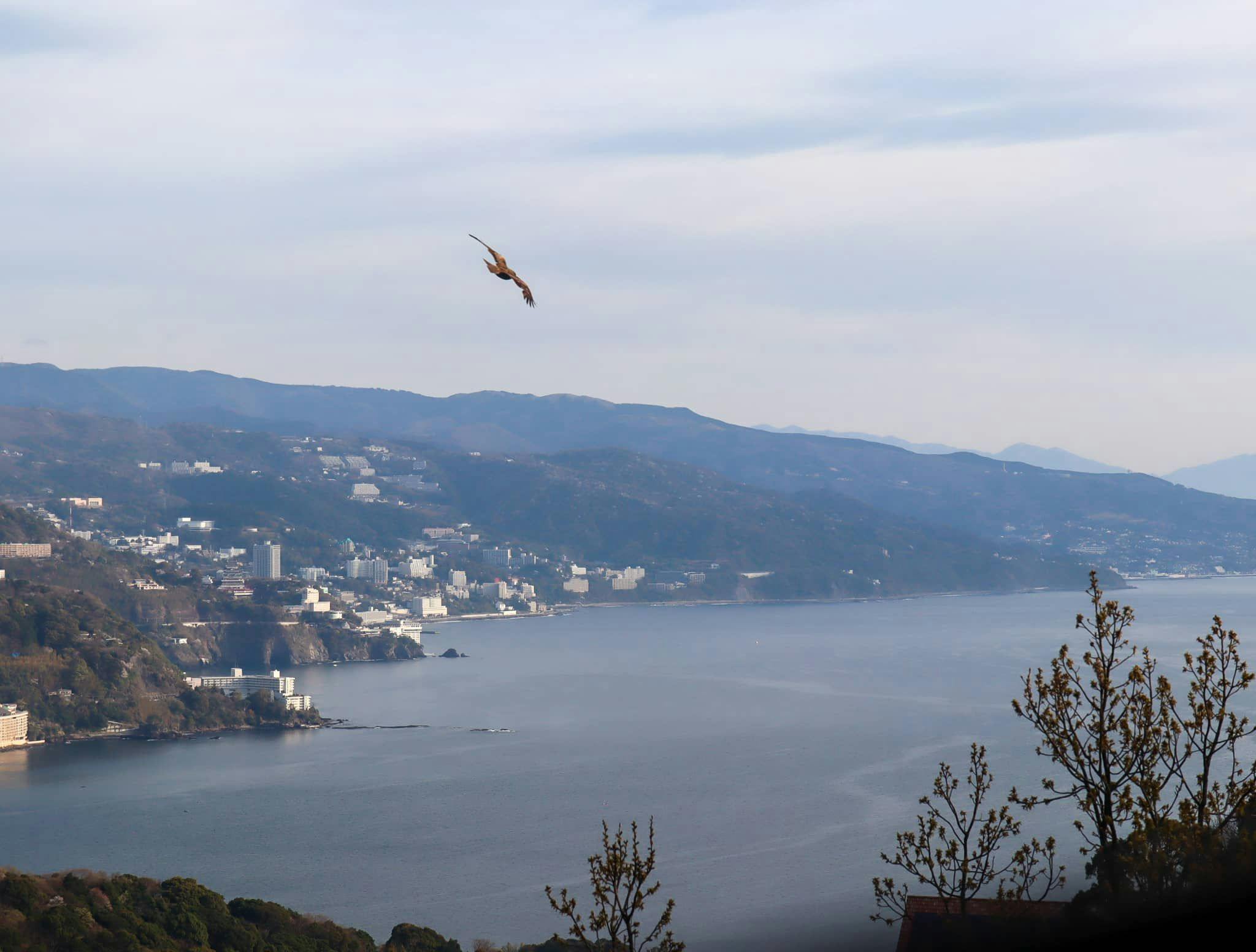 ATAMI Ocean Villa Retreat
