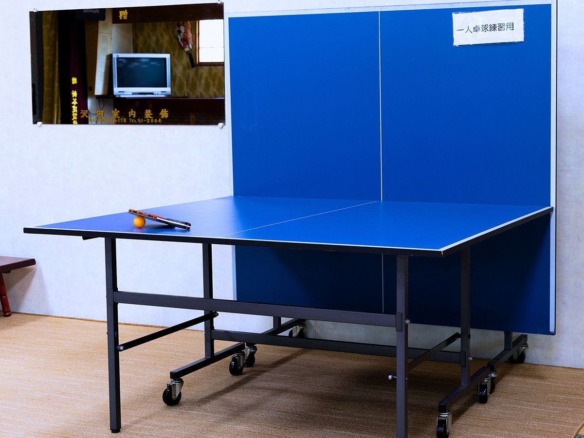 單人乒乓球