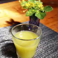 ・オーガニック酵素たっぷりのジュース