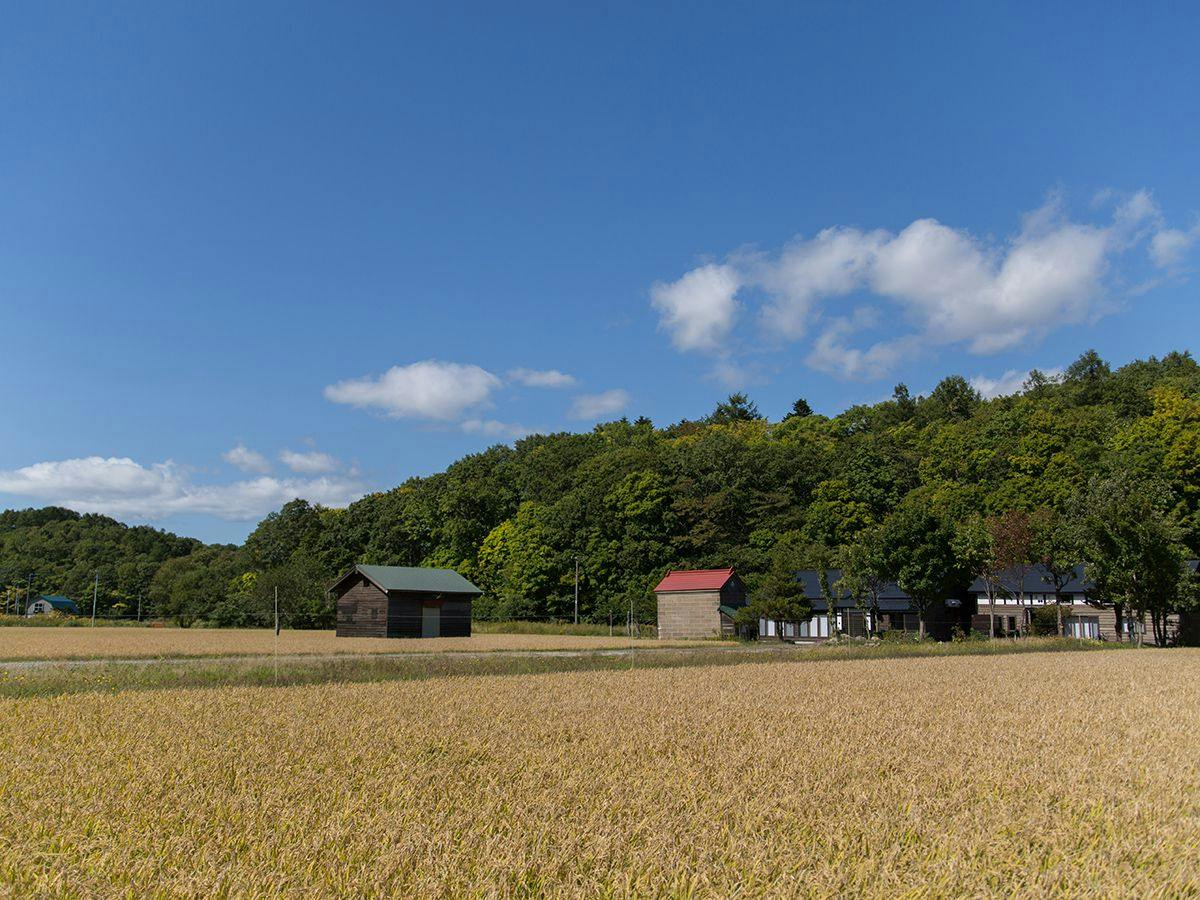 Traditional Japanese House Inn Solii