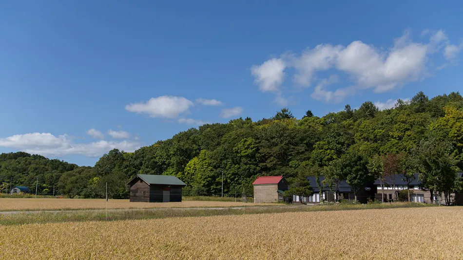 Traditional Japanese House Inn Solii