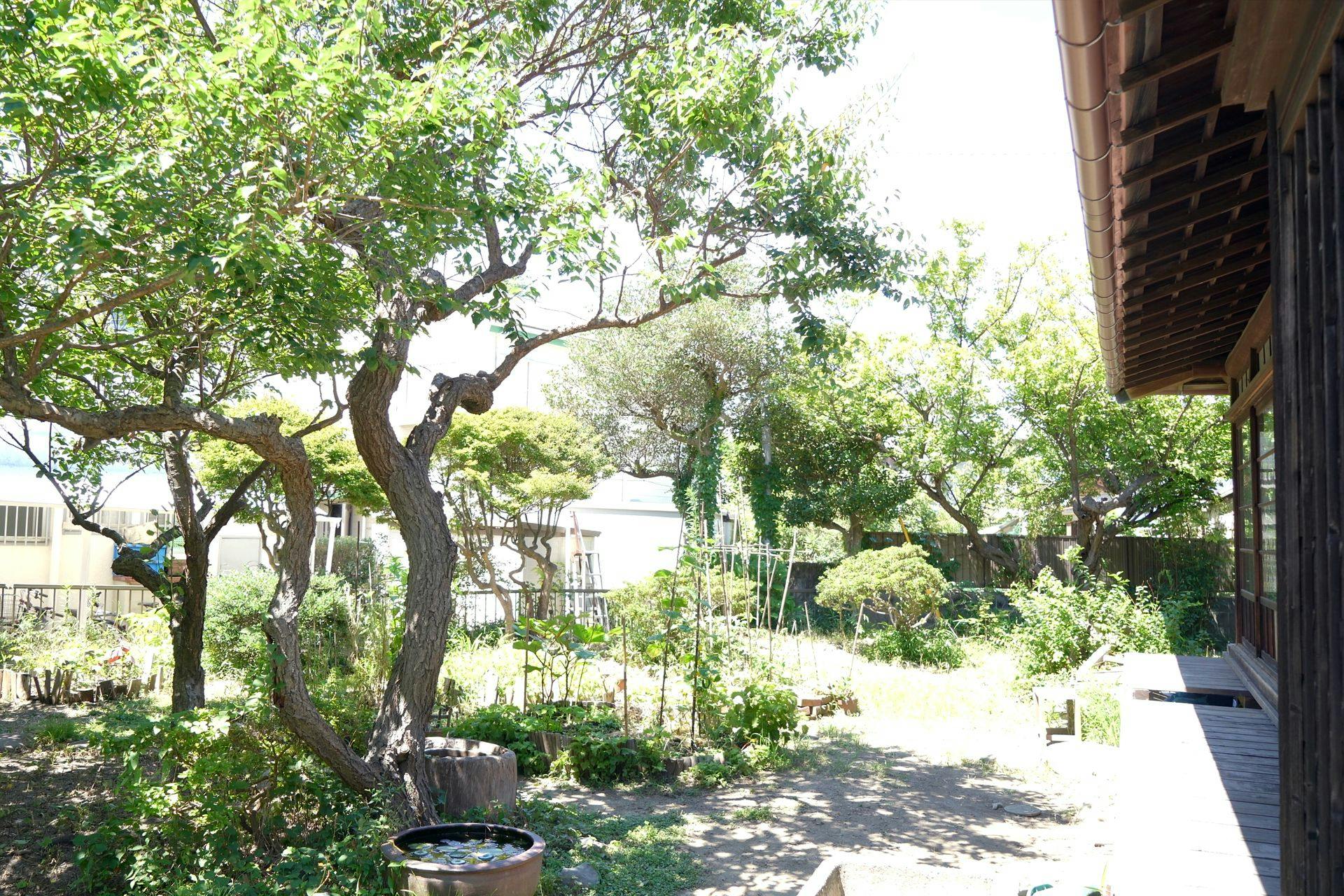 Hirano Residence -Hayama-