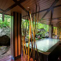 น้ำพุร้อนธรรมชาติ 'เสียงนก'