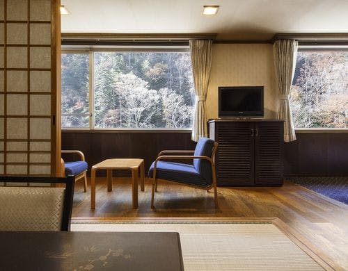 寛ぎの間（和洋室タイプ）