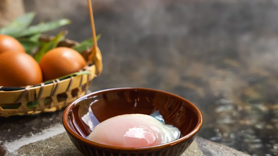 Shiobara Onsen Yashio-so
