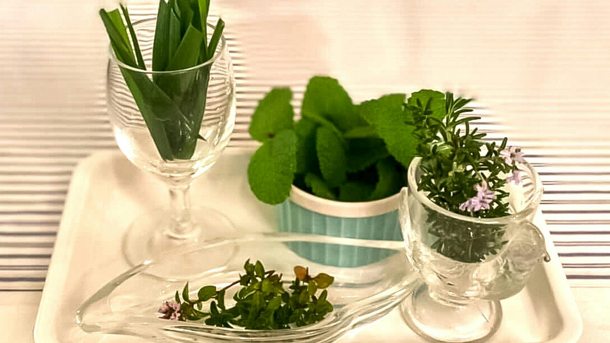 伊豆高原 1日1組限定の貸切宿 パーソナルペンション遊タイム 宿泊予約なら Yahoo トラベル