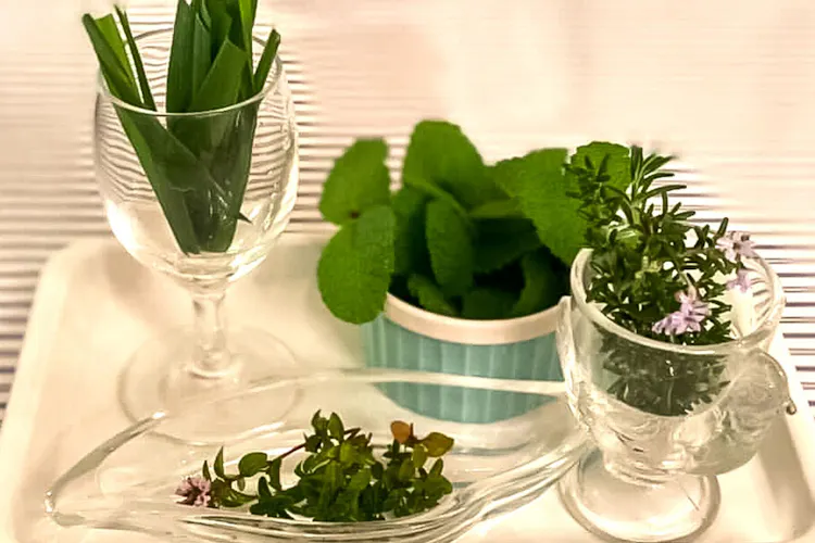 伊豆高原 1日1組限定の貸切宿 パーソナルペンション遊タイム 宿泊予約なら Yahoo トラベル 伊豆高原 1日1組限定の貸切宿 パーソナルペンション遊タイム 宿泊予約なら Yahoo トラベル