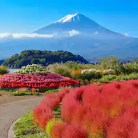 สวนโออิชิ