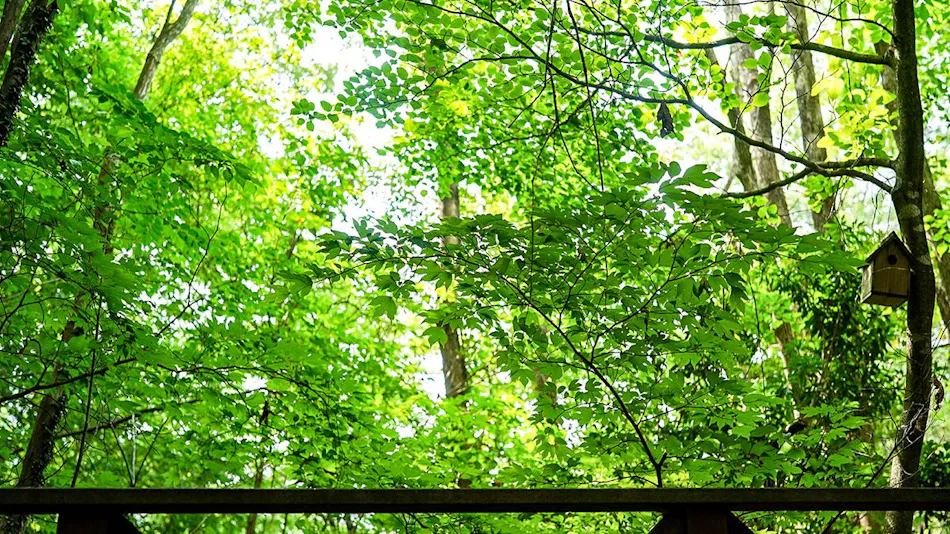Asobi no Cottage Hatsukaichi