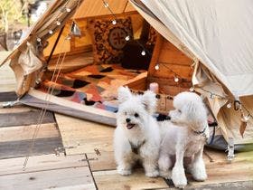 Ｔｈｅ　Ｆｏｒｅｓｔ　Ｇａｒｄｅｎ　ＫＩＭＩＮＯＭＯＲＩ