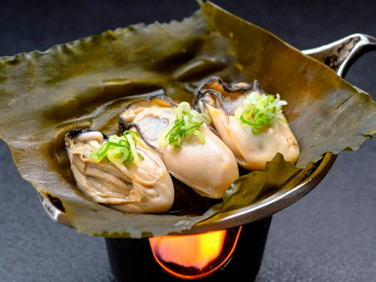 Baden Akebi