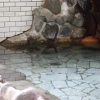 Pemandian batu pribadi (perlu Pemesanan terlebih dahulu※berbayar)