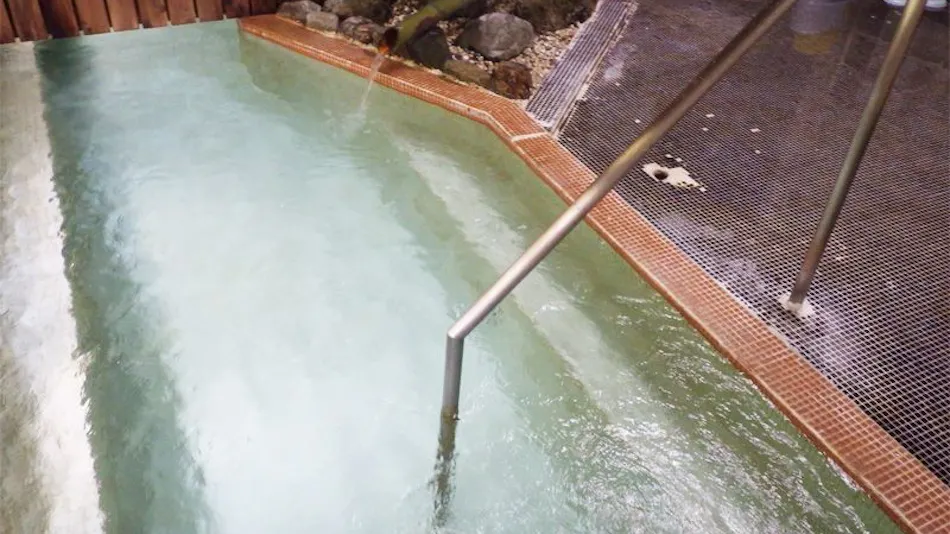 Reisenji Onsen Nakaya Ryokan