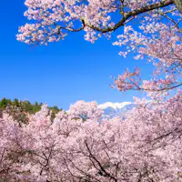 【高远城公园】