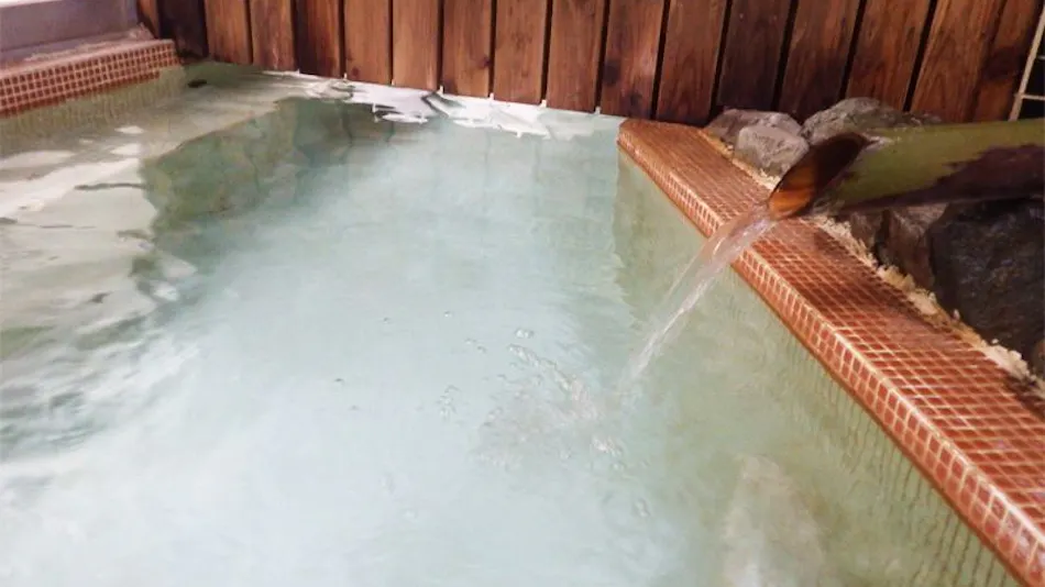 Reisenji Onsen Nakaya Ryokan