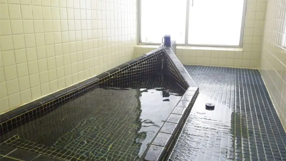 Reisenji Onsen Nakaya Ryokan